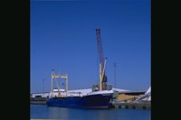 TR62.JPG