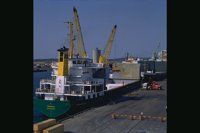 TR60.JPG