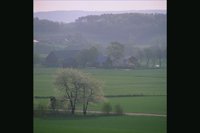 FA98.JPG