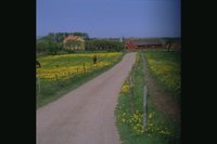 FA82.JPG