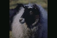 AN93.JPG
