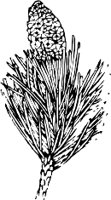 0987PL.WMF