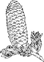 0985PL.WMF