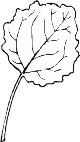 0982PL.WMF