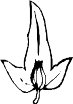 0978PL.WMF