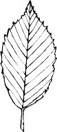 0977PL.WMF