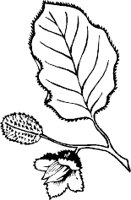 0976PL.WMF