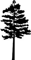 0937PL.WMF