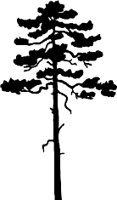 0936PL.WMF
