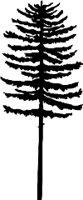 0934PL.WMF