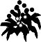 0916PL.WMF