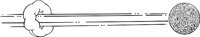 0044SP.WMF