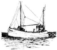 0511TR.WMF