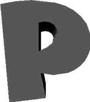 80.JPG