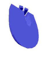 252.JPG