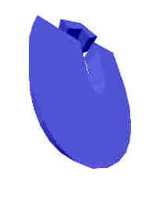 251.JPG