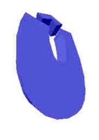 219.JPG