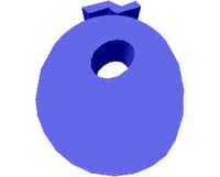 245.JPG