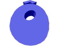 244.JPG