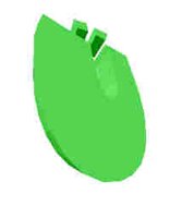 252.JPG