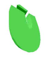 249.JPG