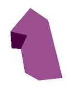 185.JPG