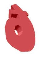 240.JPG