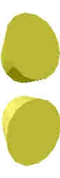 58.JPG