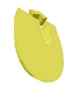 251.JPG