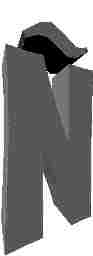 241.JPG
