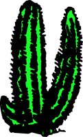 CACTUS13.WMF