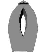 244.JPG
