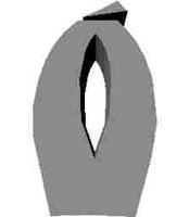 243.JPG