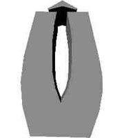 219.JPG