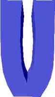 85.JPG
