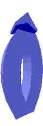 244.JPG