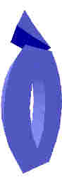 242.JPG