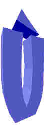 217.JPG
