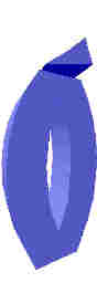 211.JPG
