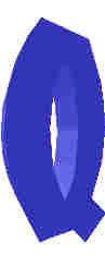 81.JPG