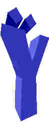 159.JPG