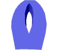79.JPG