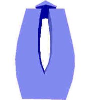 251.JPG
