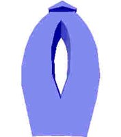 244.JPG