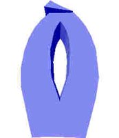 242.JPG