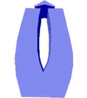 219.JPG