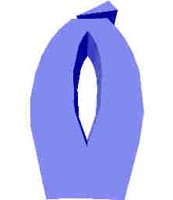 211.JPG