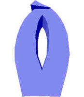 210.JPG