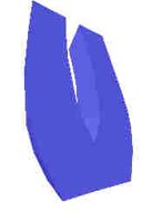85.JPG