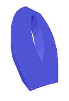 79.JPG
